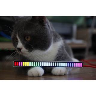 Thanh Led nháy theo nhạc