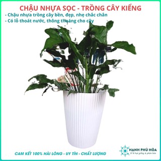 Chậu Nhựa Sọc Trắng Số 2, Số 3 - Nhiều Kích cỡ Trồng Hoa Lan, Cây Kiểng- Chậu Nhựa Bền, Đẹp, Nhẹ, Đa Năng