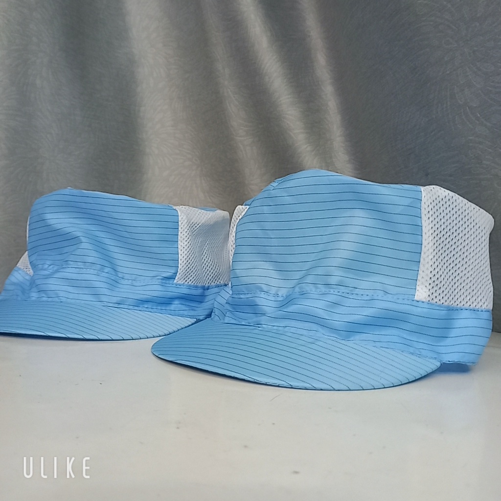 Nón lưới phòng sạch chống tĩnh điện TRẮNG-  XANH cao cấp cho công nhân