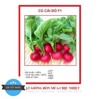 Gói 30 hạt CỦ CẢI ĐỎ MINI