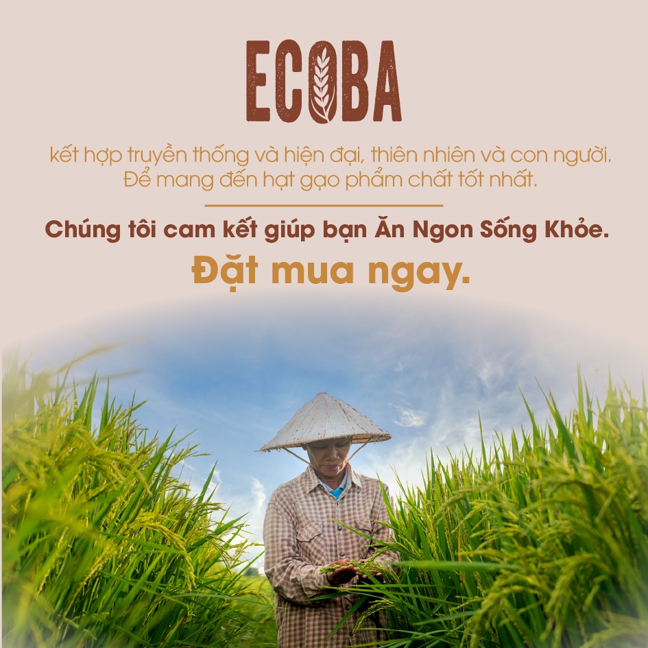 Gạo lứt trắng hữu cơ cao cấp/ECOBA Kim Mễ 1kg