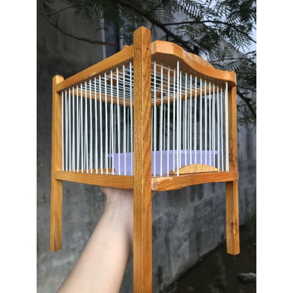 LỒNG TẮM KHUYÊN NAN CÁP QUANG  khuyên loại nhỏ nha khách