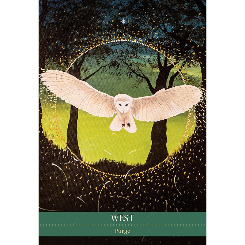 Bộ Bài Shamanic Medicine Oracle Cards (Mystic House Tarot Shop) - Bài Gốc Authentic Chính Hãng 100%