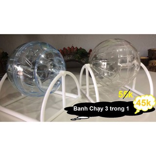 Banh Chạy Hamster and Hamsu
