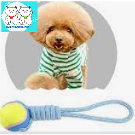 Đồ chơi chó mèo bóng tennis kèm dây thừng tập giằng