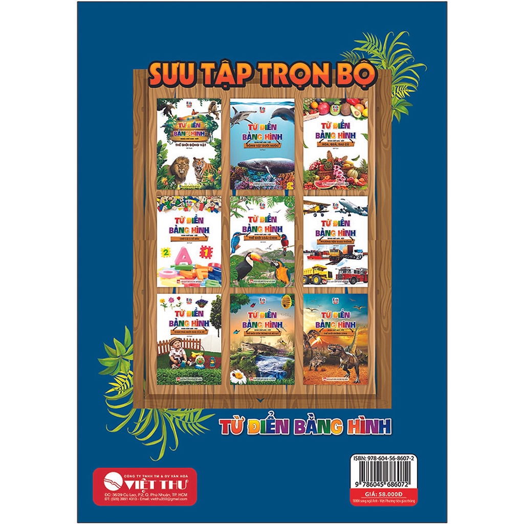 Sách - Từ Điển Bằng Hình Phương Tiện Giao Thông