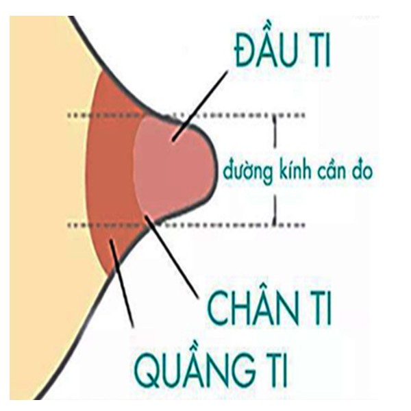 Giảm size - Phụ kiện máy hút sữa Beefree S19