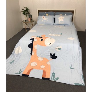 Set chăn chiếu lụa điều hòa tencel cao cấp