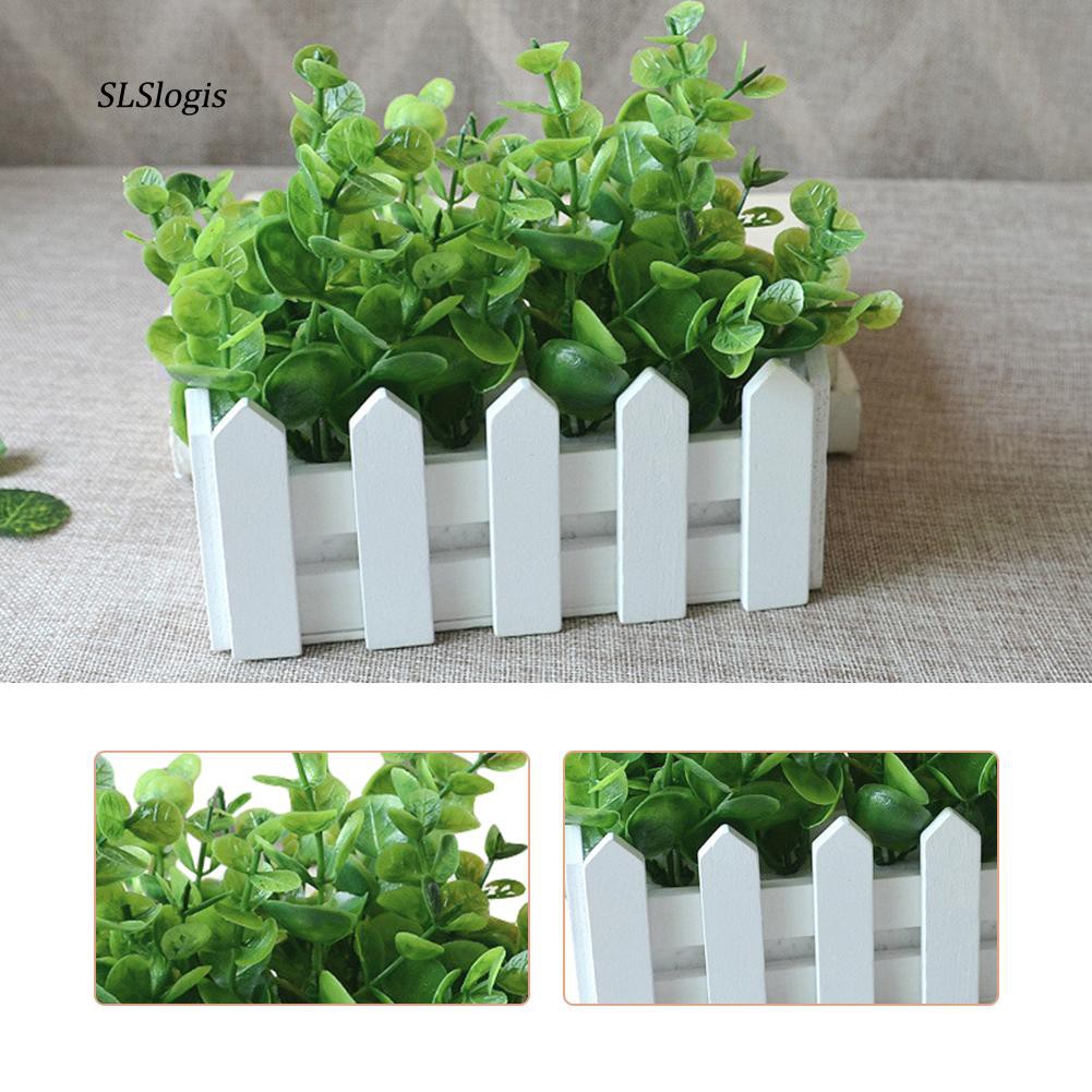 Chậu Cây Bạch Đàn Giả Bằng Nhựa Dùng Trang Trí