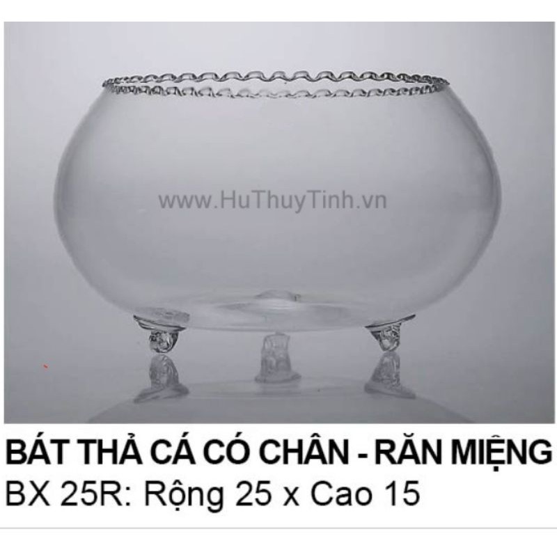 bình thả cá miệng răng cưa ko có chân