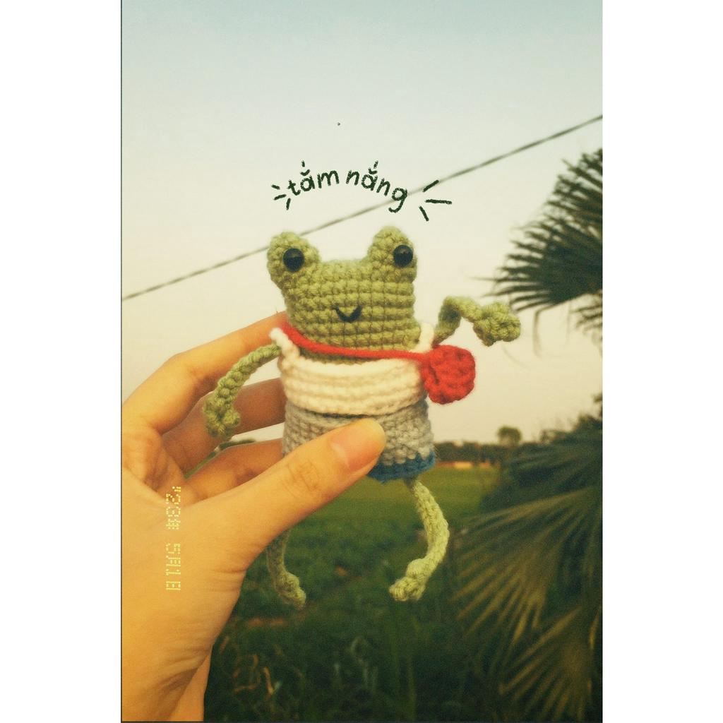 Móc khóa len Ếch ngu | Móc khóa handmade