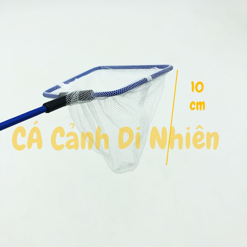 Vợt bắt cá thủy sinh AMAZON SERIES cán nhựa xanh SIZE 3