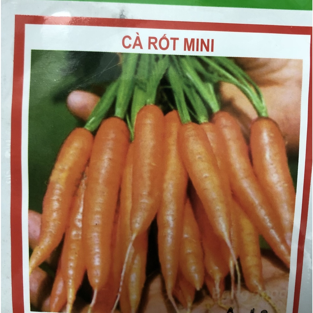 Hạt giống Cà rốt Mini