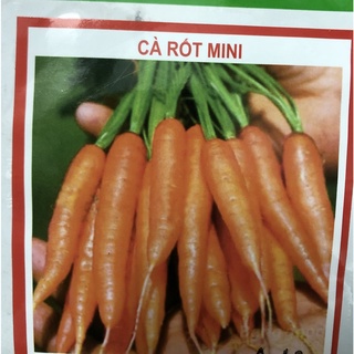 Hạt giống Cà rốt Mini