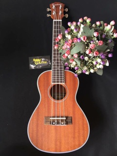 Đàn ukulele concert vt-800