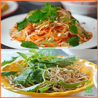 Hạt Giống Kinh Giới , Chịu Nhiệt, Dễ Trồng, Năng Suất Cao - Gói 2G