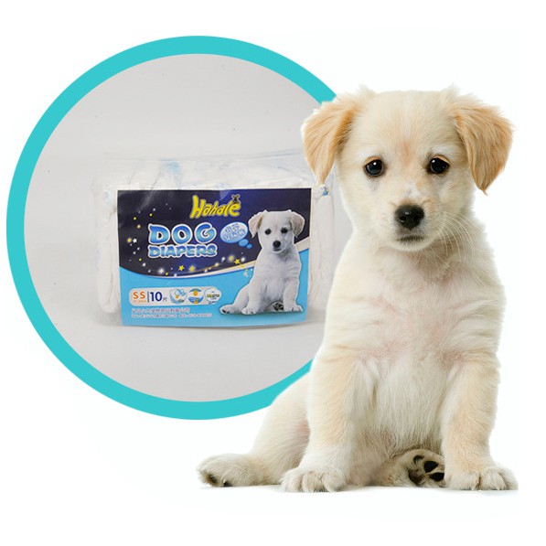 bỉm quần cho chó mèo dog diapers (GÓI 10 MIẾNG)