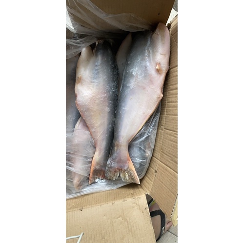 1kg cá basa cắt khúc