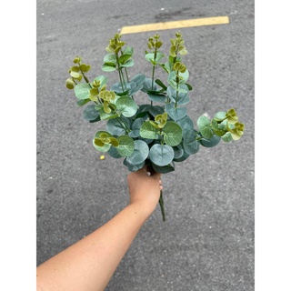 LÁ TÁO XỊN, TÁO MỐC