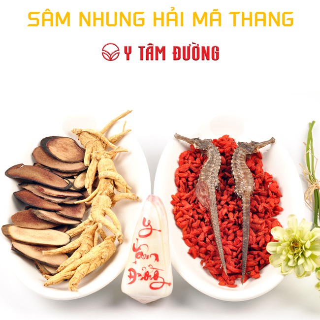 Thang ngâm rượu Sâm Nhung Hải Mã