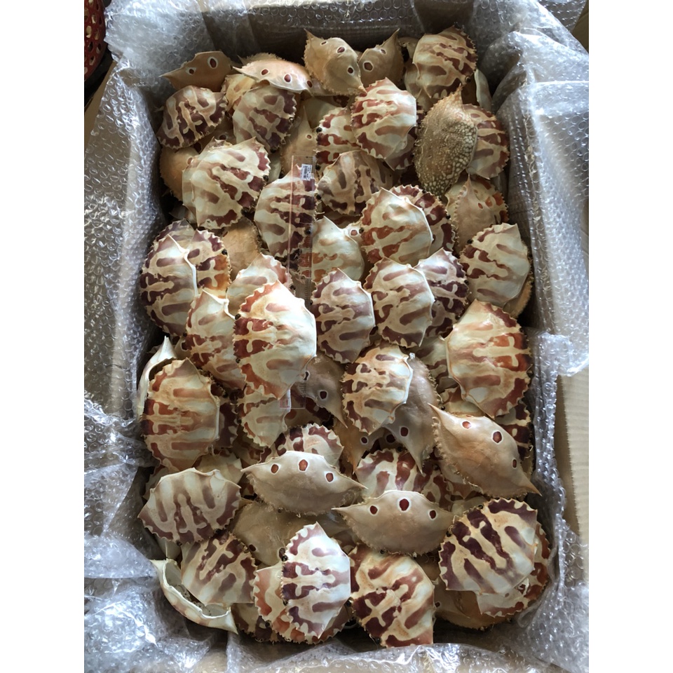 Vỏ ghẹ khô 10 cai