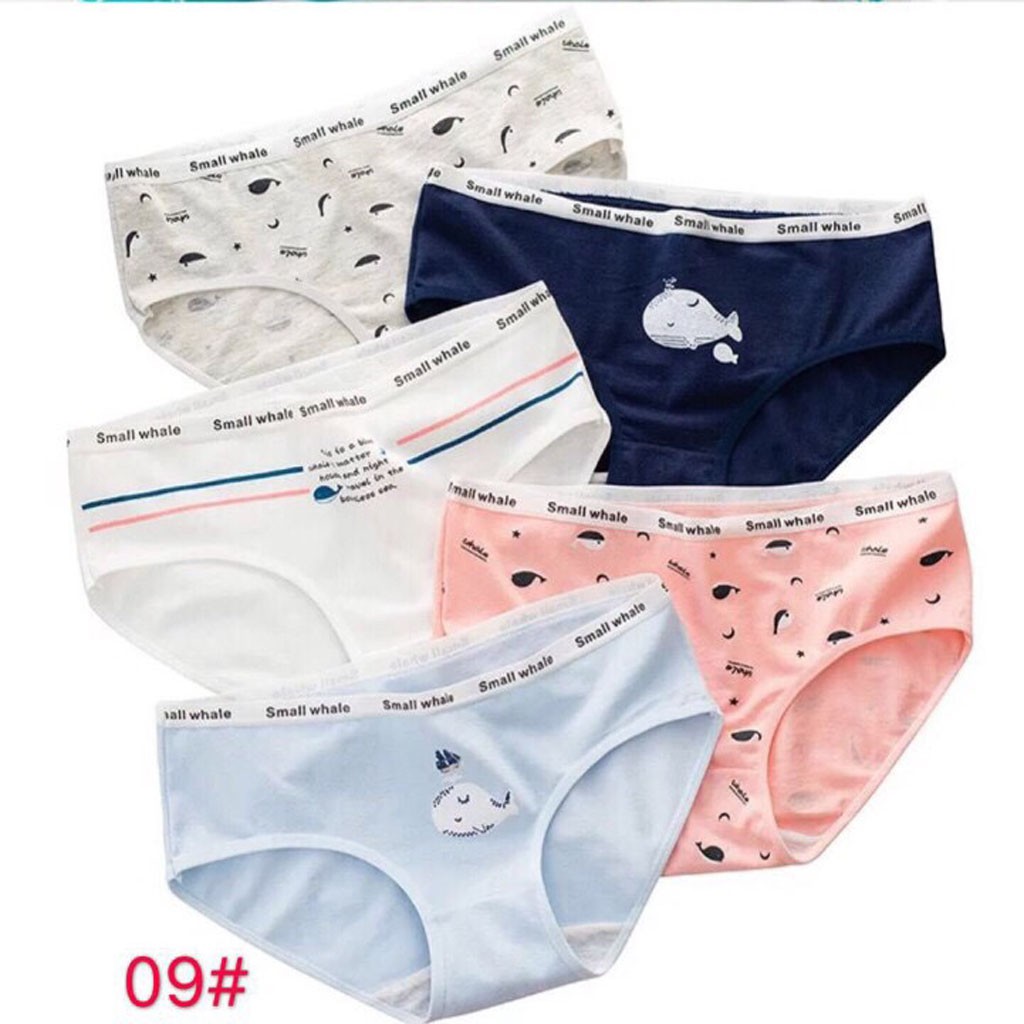 Sét 5 quần chíp cotton kháng khuẩn cao cấp mẫu mới size 42-58kg | BigBuy360 - bigbuy360.vn