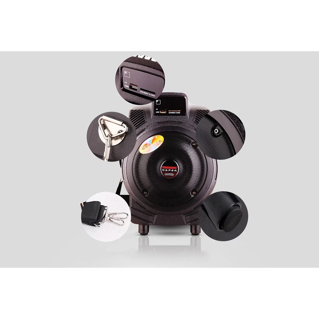 Loa di động Temeisheng Q6F