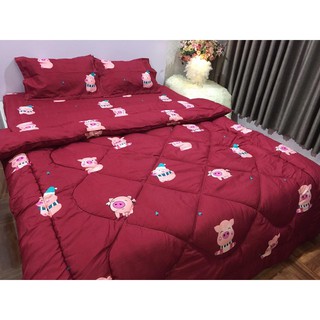 [CHĂN PHAO] 💋 Bộ 5 Chăn Phao Ga Gối poly cotton [Chọn mẫu] [ 1 Chăn phao + 1 Ga chun + 2 Vỏ gối nằm + 1 Vỏ gối ôm ]