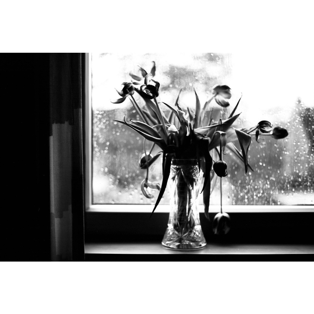 Phim Washi S ISO 50, Đen Trắng B&W, 135/35mm x 36 Kiểu, In Date Cho Máy Chụp Ảnh Film - LIIQ Flash