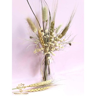 Lọ hoa khô decor đuôi thỏ và lúa mạch