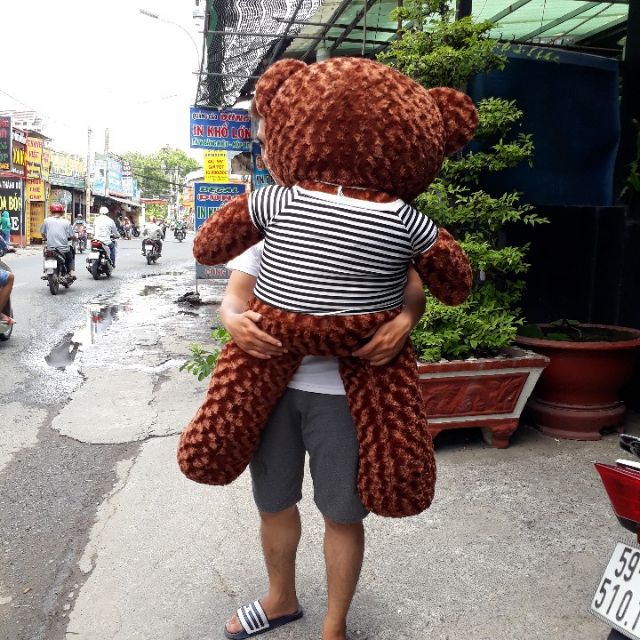 GẤU TEDDY SIÊU KHỦNG 1M2