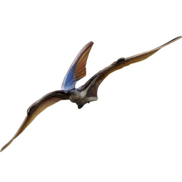 Đồ chơi Mô hình khủng long siêu thực Archaeopteryx