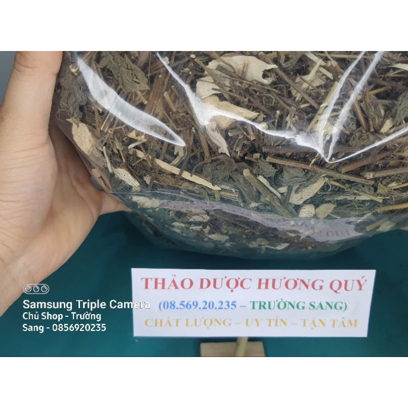 1Kg Tía Tô Khô, Sạch, Chất Lượng