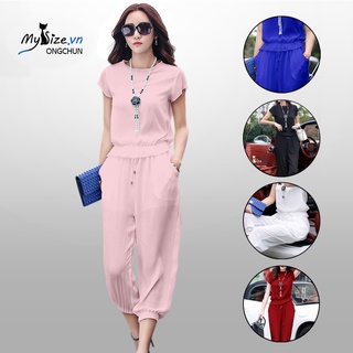 Bộ quần áo nữ ống quần chun gấu công sở - Mysize.vn
