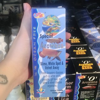 🐠 CÁ RỒNG CHAI SỐ 4 OCEAN FREE