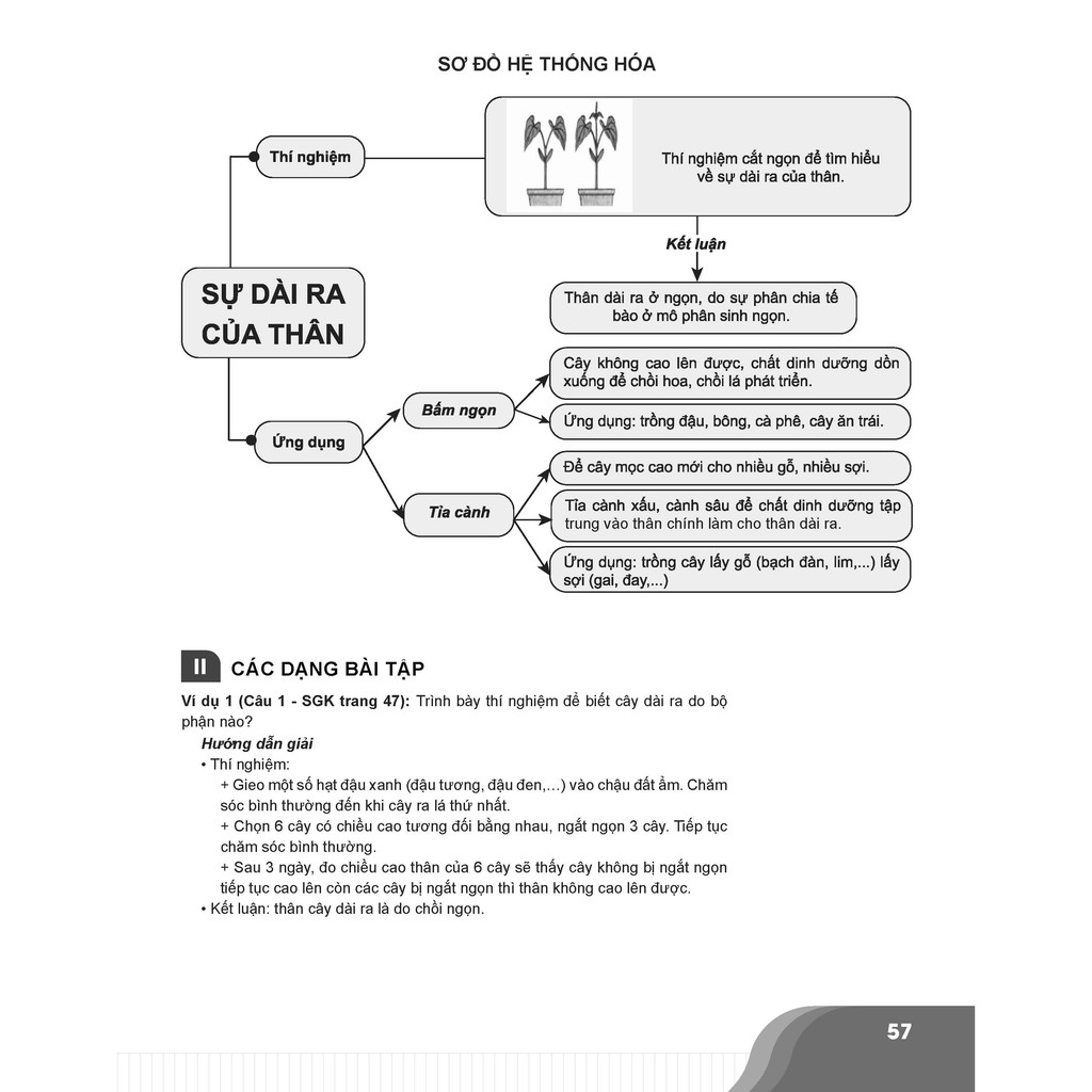 Sách-Bí quyết chinh phục điểm cao Sinh học 6