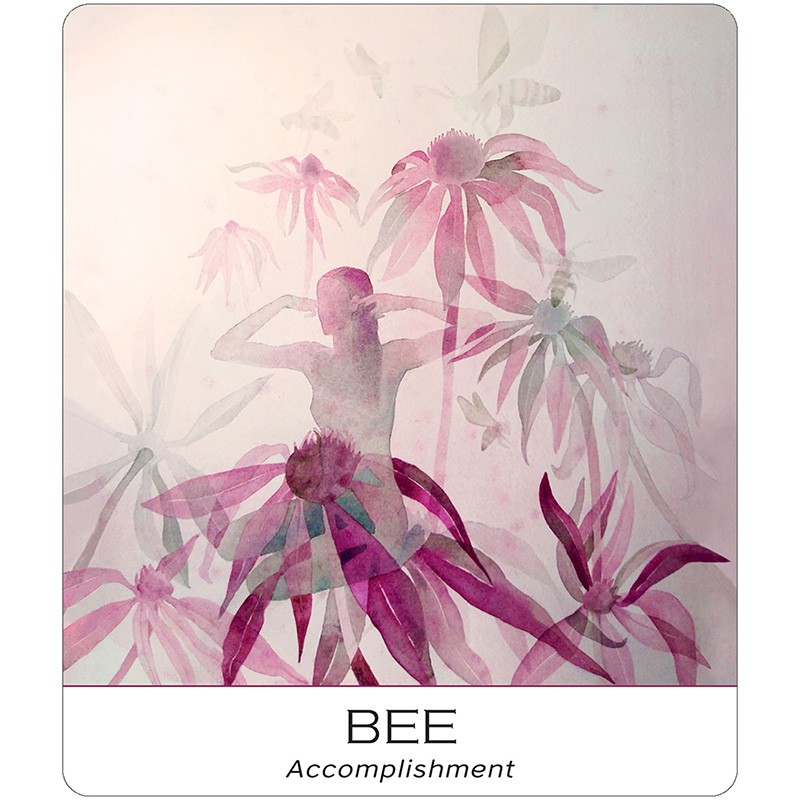 Bộ Bài Nature and Soul Yoga Wisdom Cards (Mystic House Tarot Shop) - Bài Gốc Authentic Chính Hãng 100%