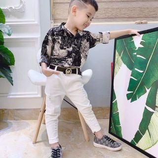 Sơ mi lụa 3d
