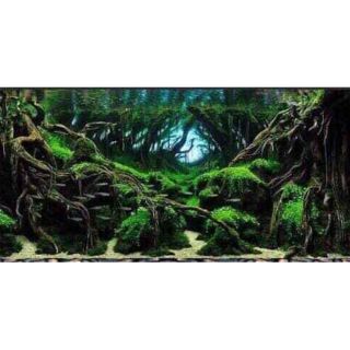 Tranh 3D dán bể cá ( kt 50x40;60x40;80x50;90x45;100x50;100x60;120x50;120x60cm)