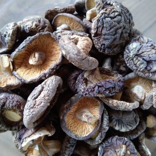 NẤM HƯƠNG - nấm trứng
