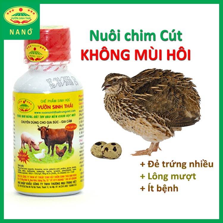 Chế phẩm sinh học nuôi Chim Cút không mùi hôi - VƯỜN SINH THÁI