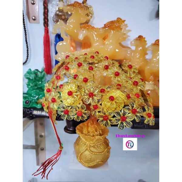 Cây cành vàng lá ngọc gốc túi tiền mic sẵn bông mai trưng ngày tết thu hút tài lộc