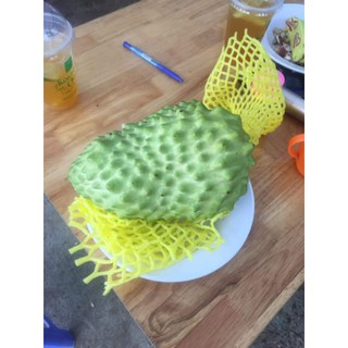 GIỐNG CÂY NA SẦU RIÊNG