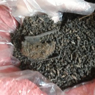 1KG - PHÂN DƠI NGUYÊN CHẤT