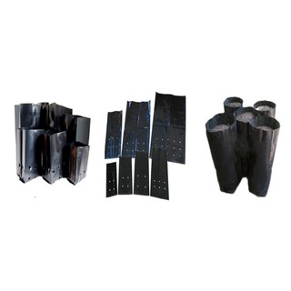 Túi ươm cây giống nilon đen