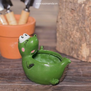 Chậu cá sấu (nhựa cứng)