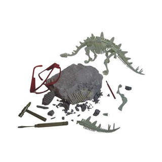 065_Bộ khảo cổ học cho bé – Khủng long thằn lằn mái nhà Stegosaurus