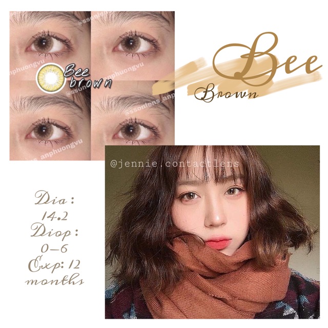 Bee Brown, lens Nâu mật ong best chanh sẻ, full độ cận 1-6