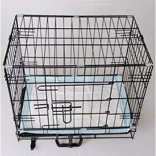 Tấm lót vệ sinh cho chó