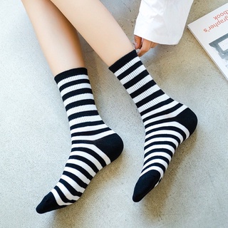 Set tất bò sữa cổ cao 5 đôi
